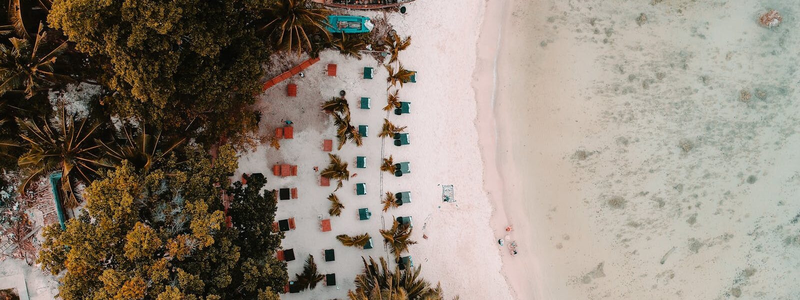 Explore the tropical beach with sun loungers, palm trees, and white sand in the Andaman Islands