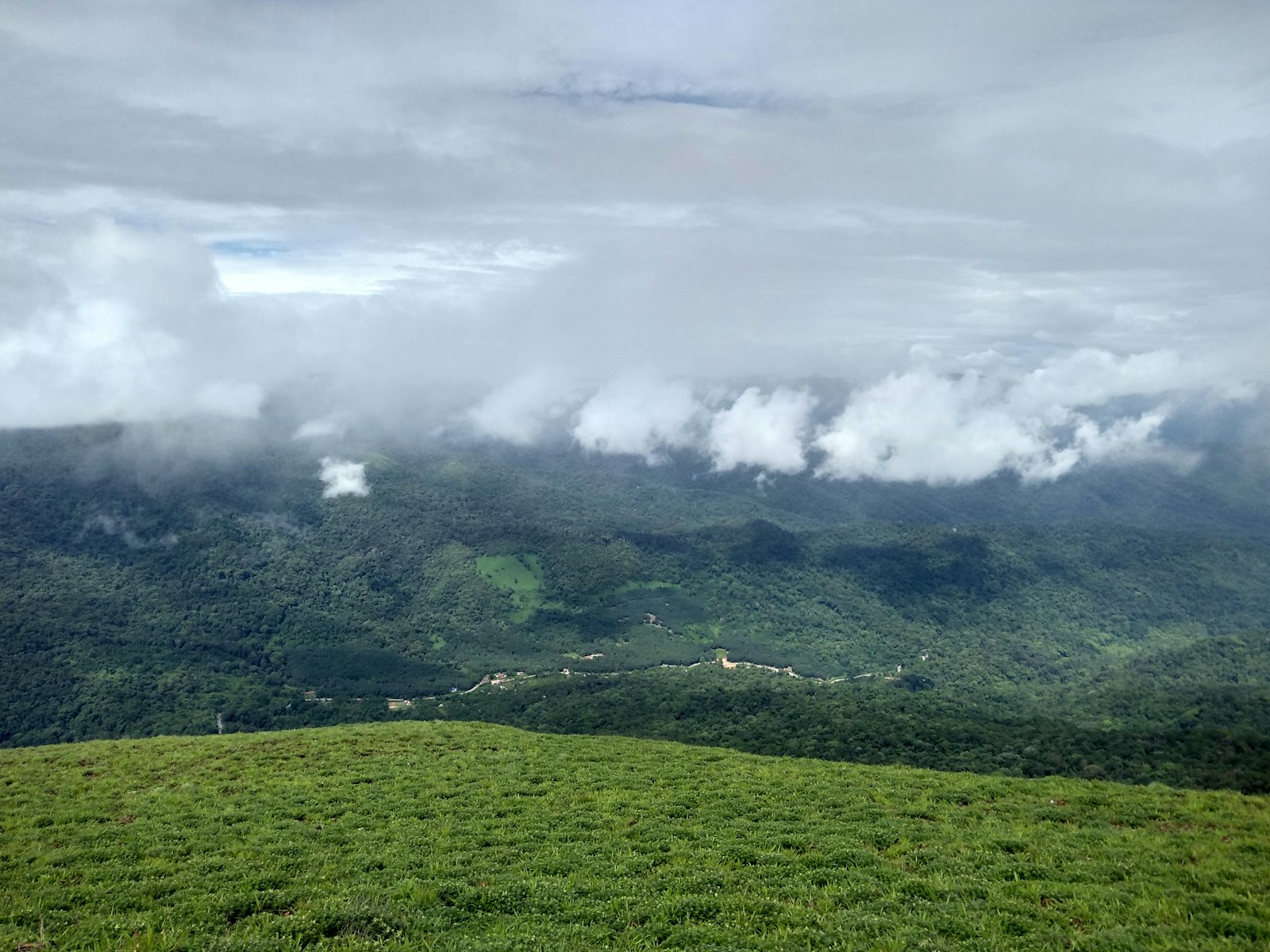 https://www.holidaypartner.in/wp-content/uploads/sites/1/2025/11/coorg-misty-mountains.jpg