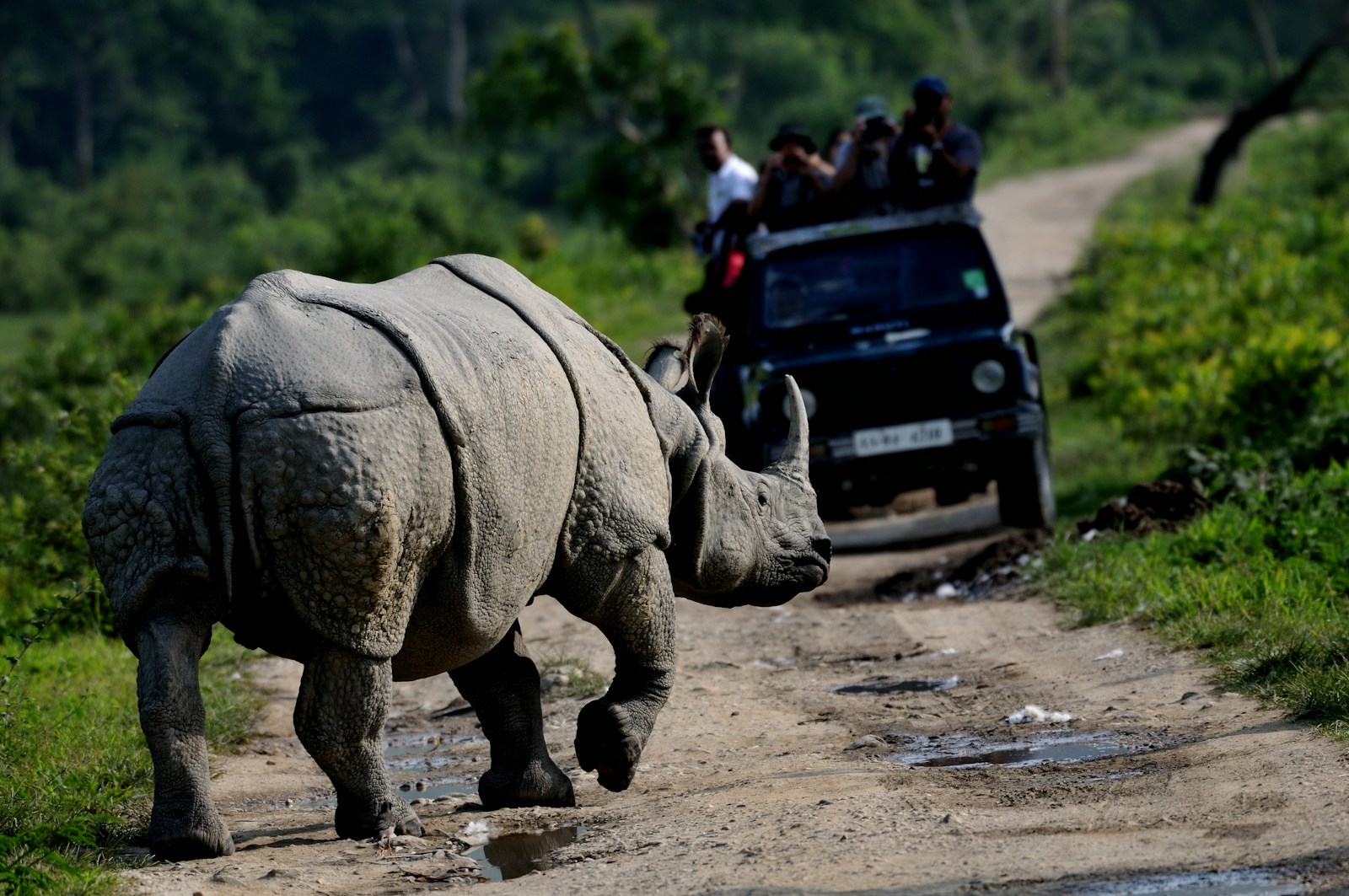 https://www.holidaypartner.in/wp-content/uploads/sites/1/2025/11/kaziranga-national-park-assam.jpg
