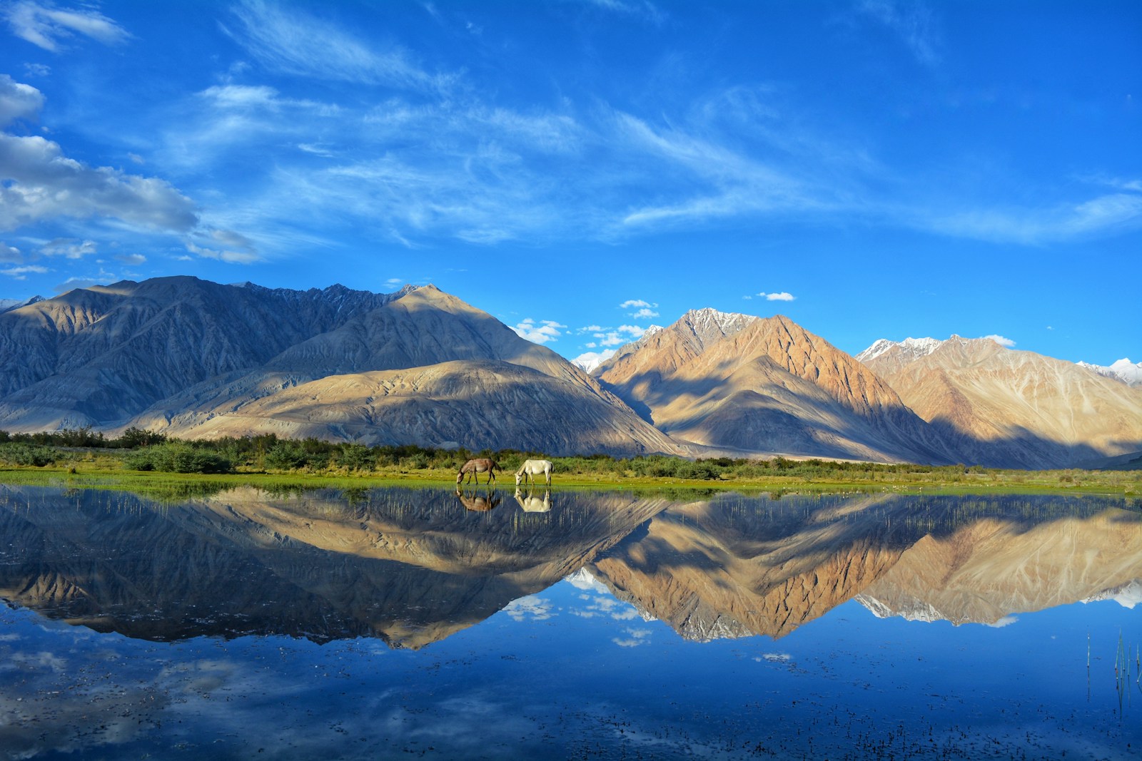 https://www.holidaypartner.in/wp-content/uploads/sites/1/2025/11/leh-ladakh-4.jpg
